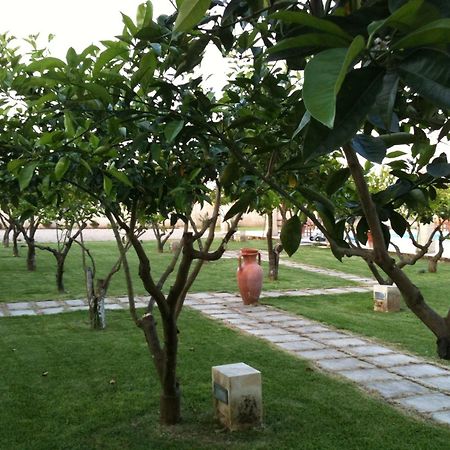 Masseria Li Campi Cavallino di Lecce Dış mekan fotoğraf