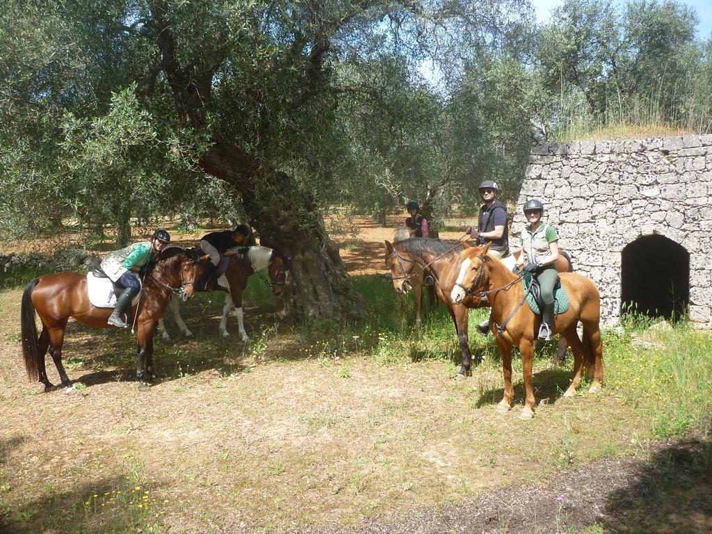 Masseria Li Campi Cavallino di Lecce Dış mekan fotoğraf